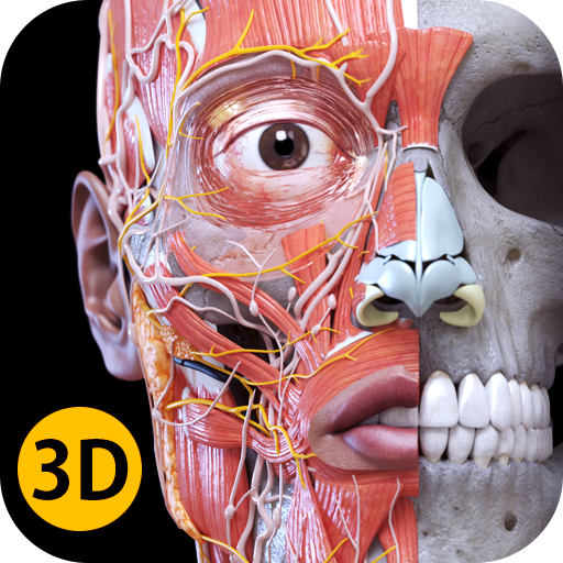 3d atlas of human anatomy